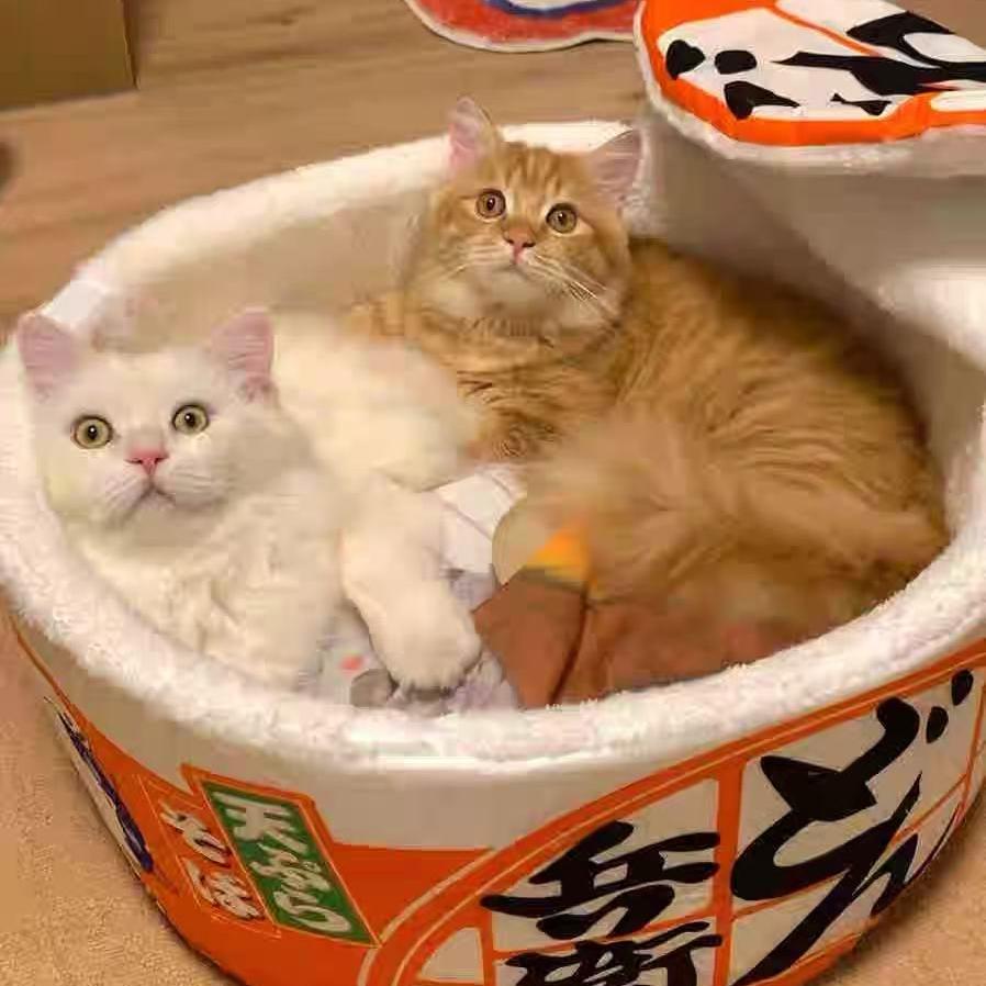 カップラーメン型ペットハウス