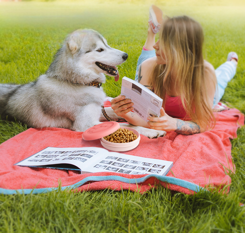 訓練、散歩用ドリーツポーチ