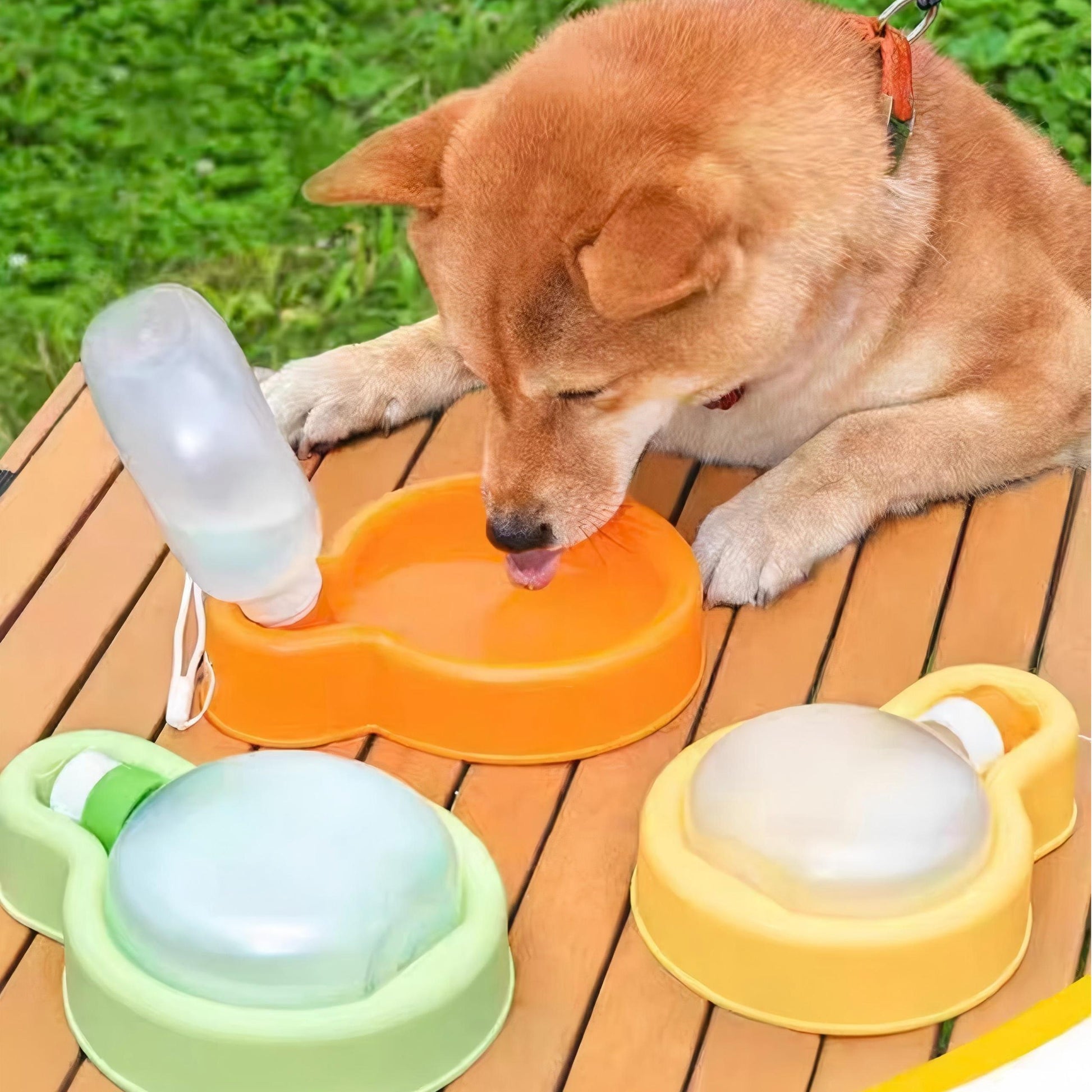 ペット用携帯給水機