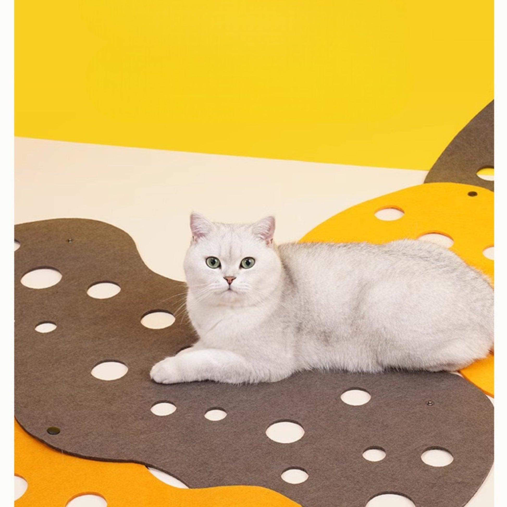 猫用フェルト製トンネル