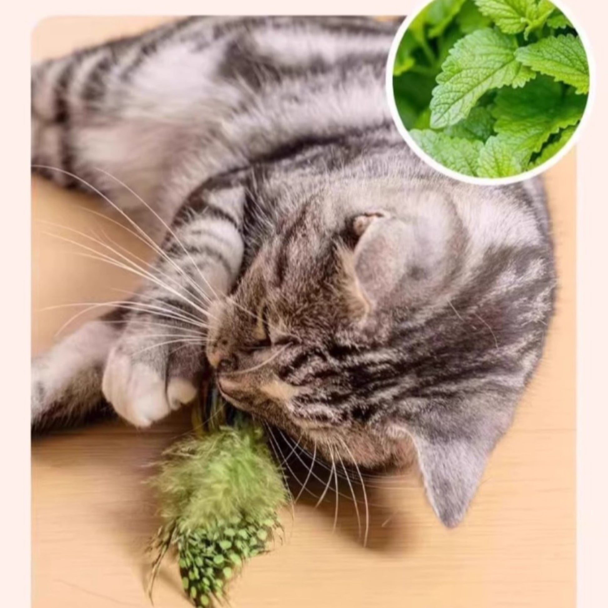 ペット用おもちゃ　ピヨピヨリーナ