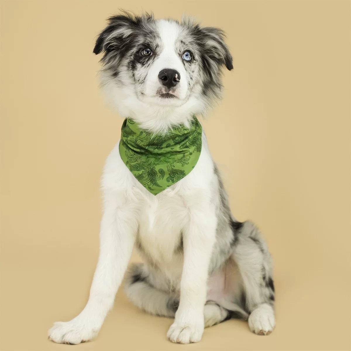 ペット用三角巾マフラー