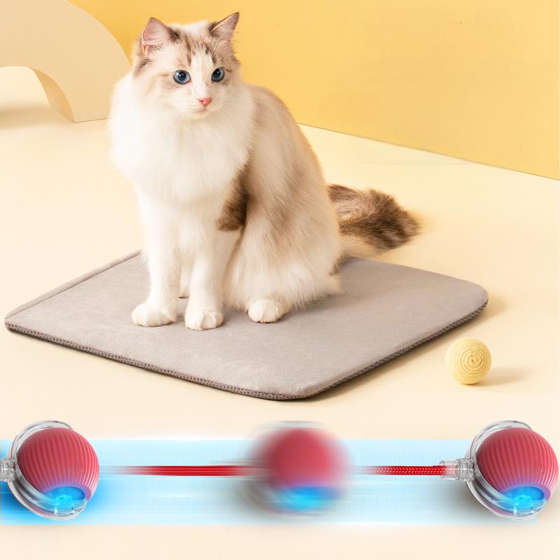 電動ペットボールローリング　USB Type-C