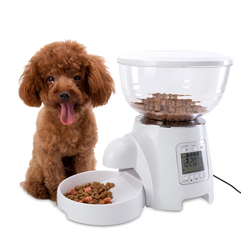 タイマー式自動給餌器