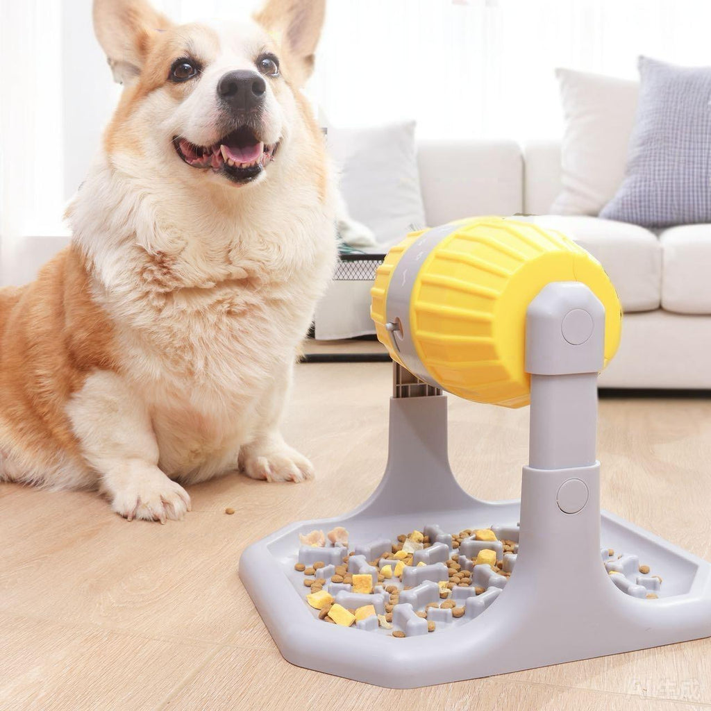 犬用パズルフィーダー　IQトレーニング