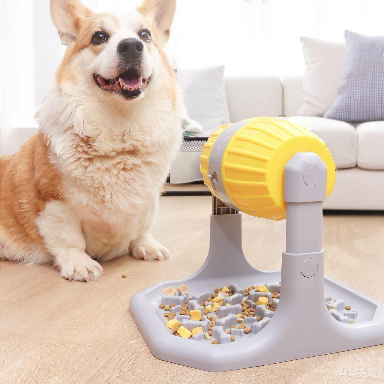 犬用パズルフィーダー　IQトレーニング