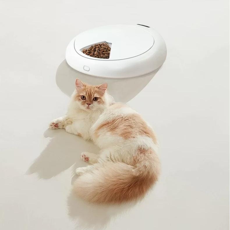 ペットウェットフード自動給餌器