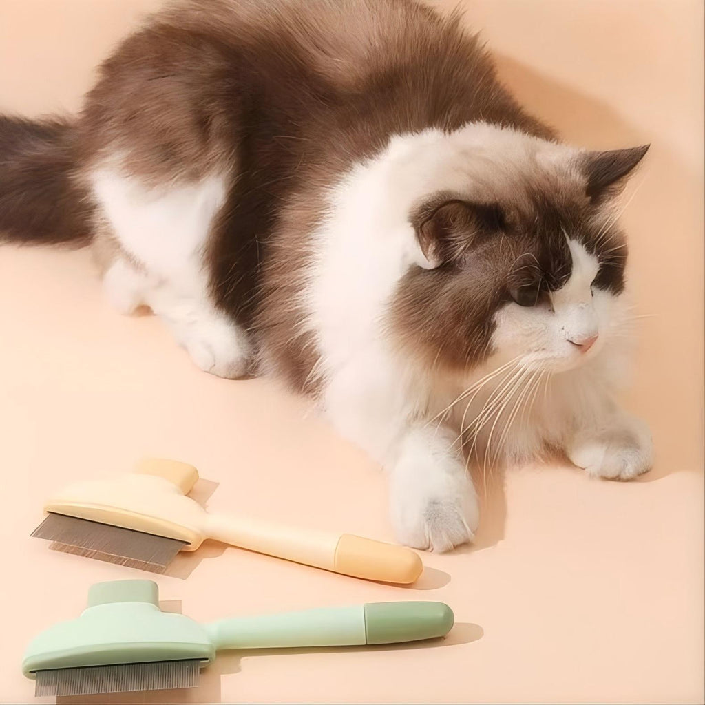 ペット用ヒーリングブラシ