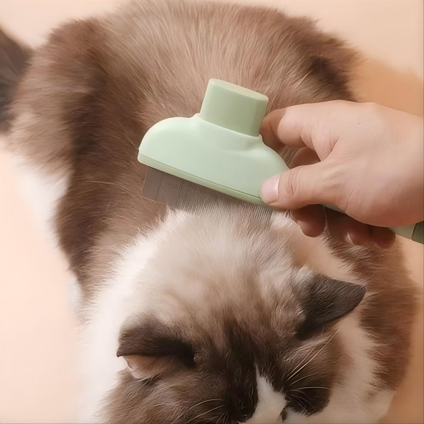 ペット用ヒーリングブラシ