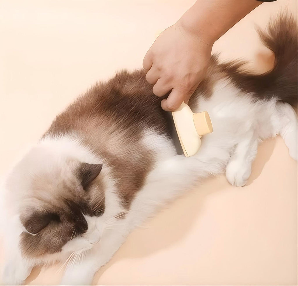 ペット用ヒーリングブラシ