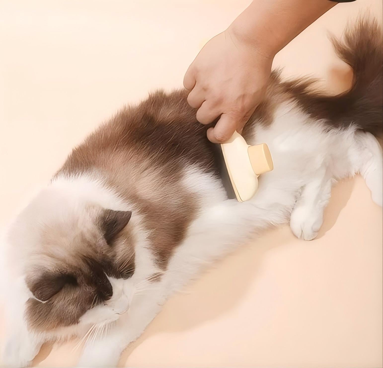 ペット用ヒーリングブラシ