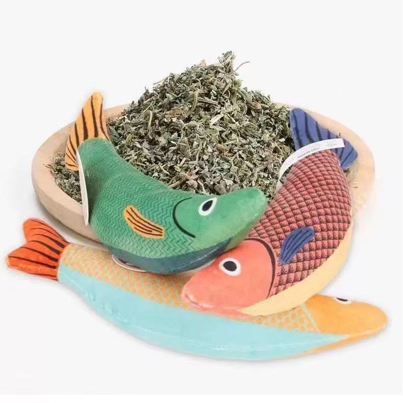 子猫用おもちゃ　歯の成長をサポート