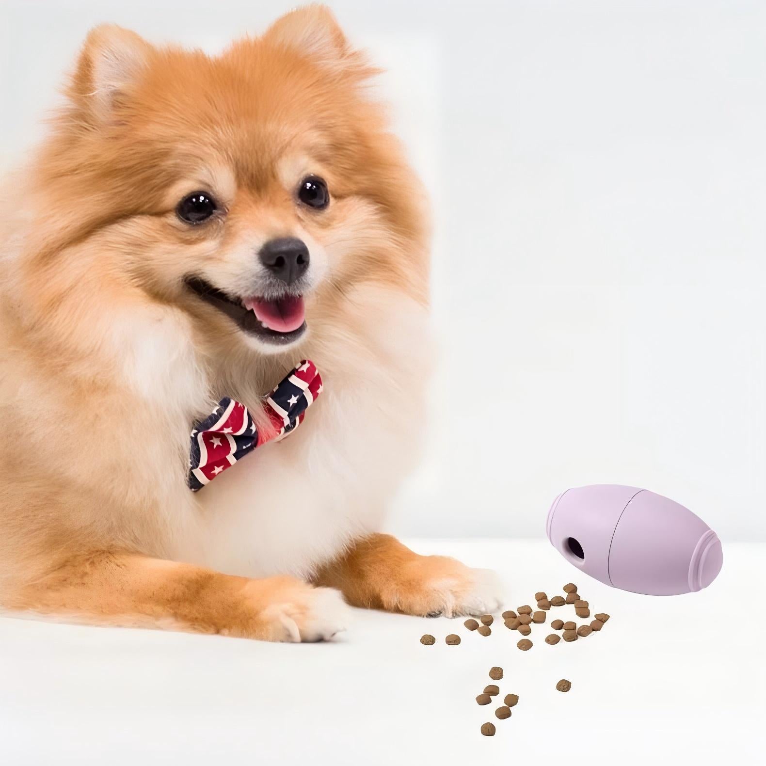 ペット用フードディスペンサー　フットボール型