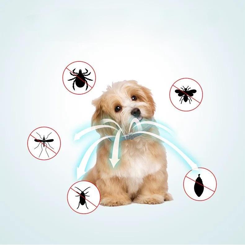 ペット用フェロモン鎮静効果首輪