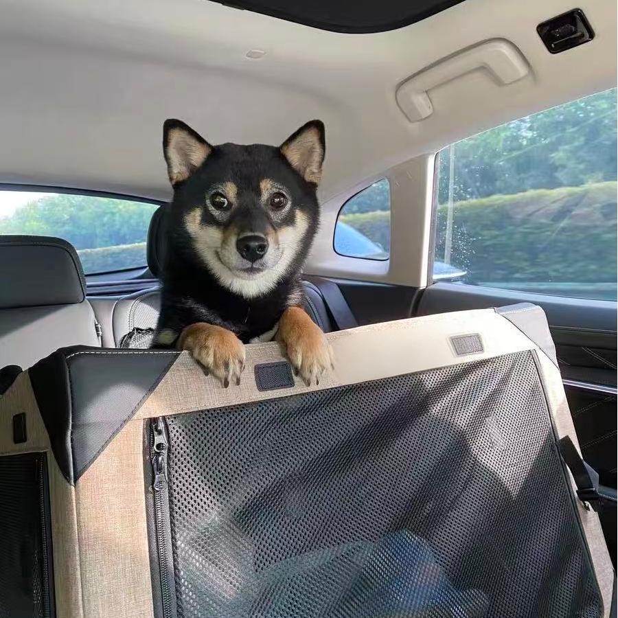 アウトドア用アペットゲージ