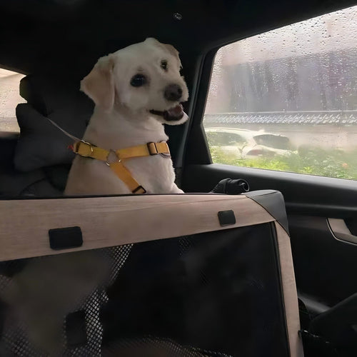 アウトドア用アペットゲージ