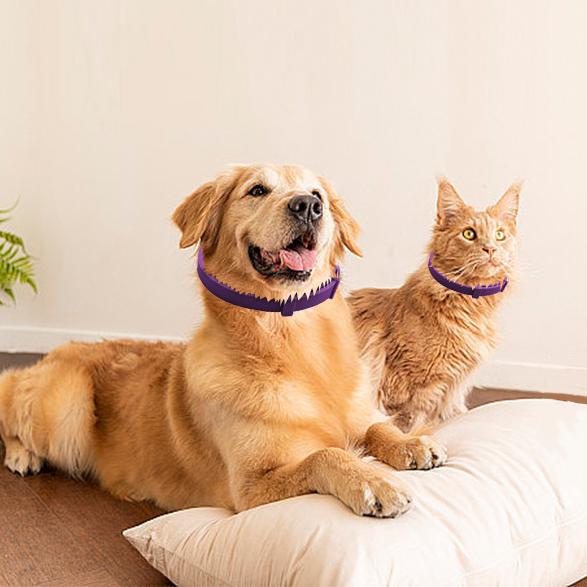 ペット用フェロモン鎮静効果首輪