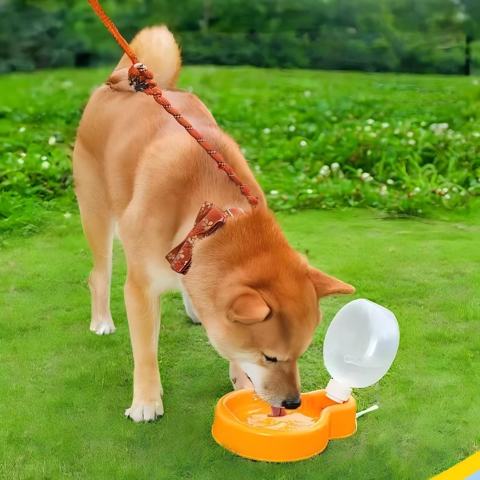 ペット用携帯給水機