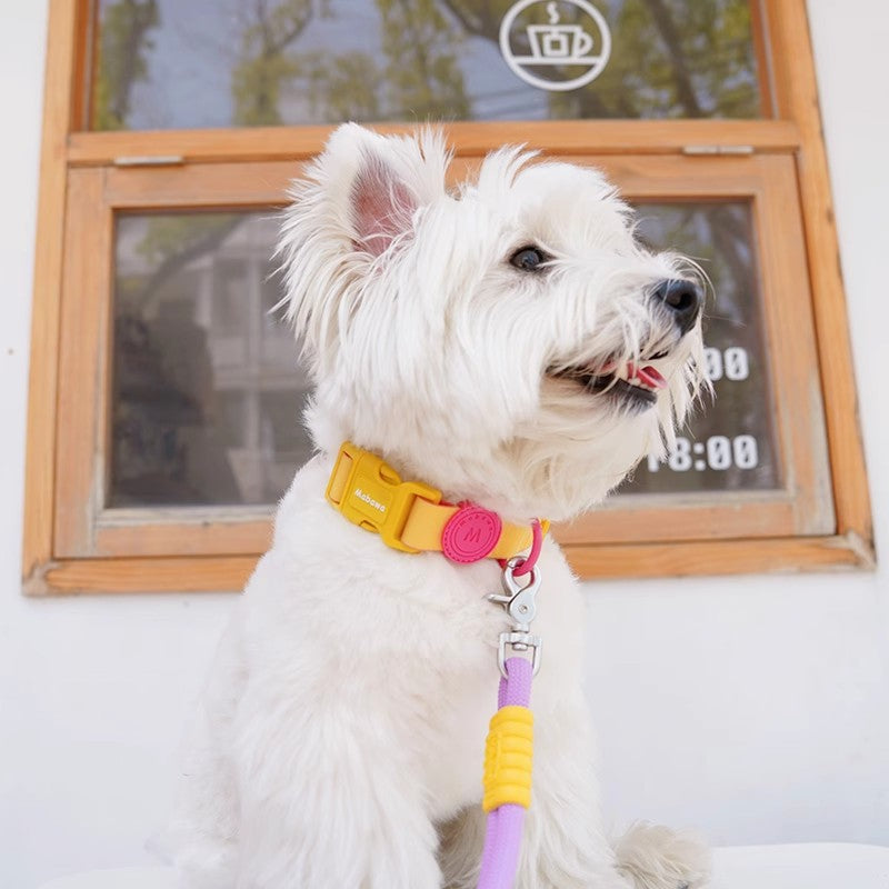 ペット用 COLLAR 首輪