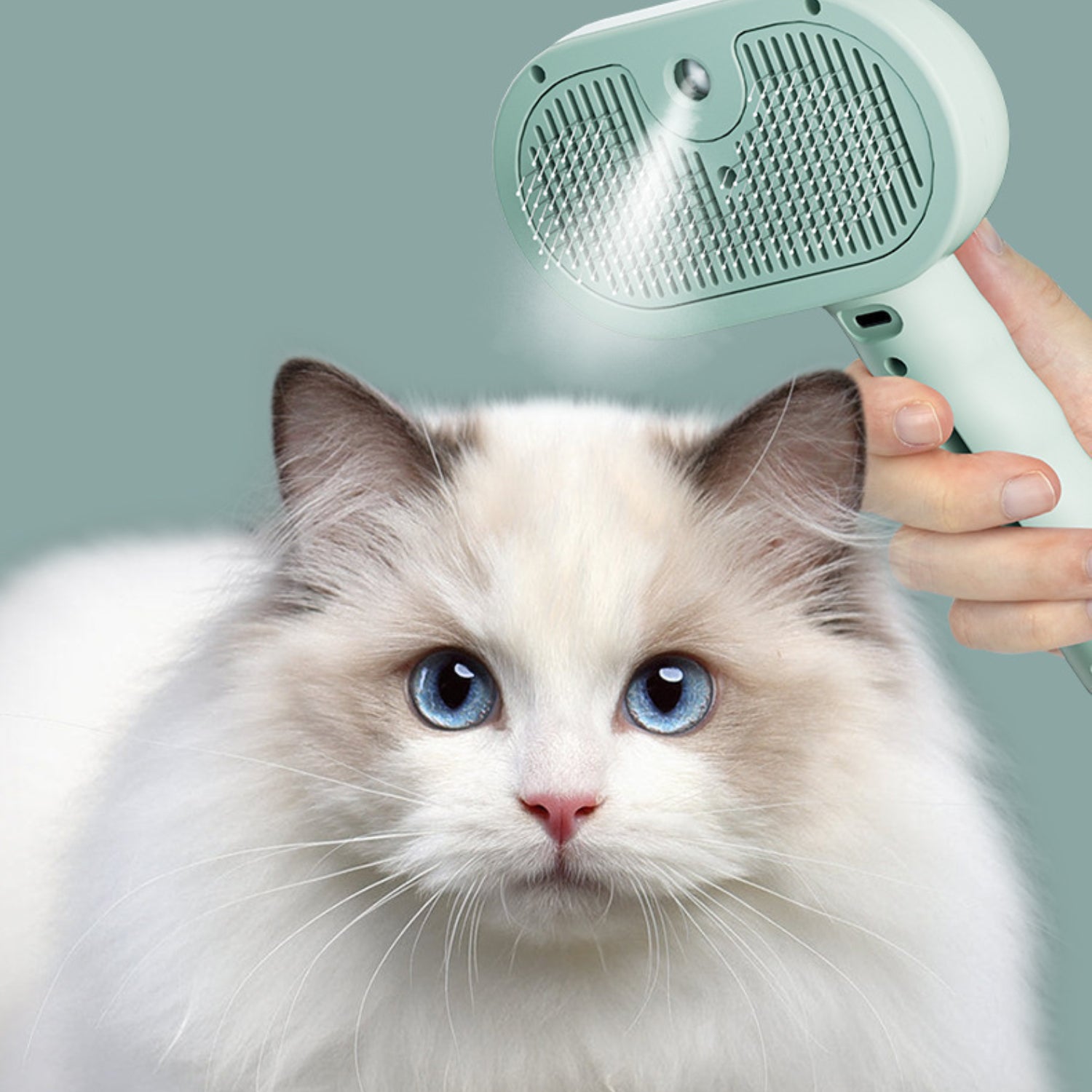 スチームクリーニングブラシ