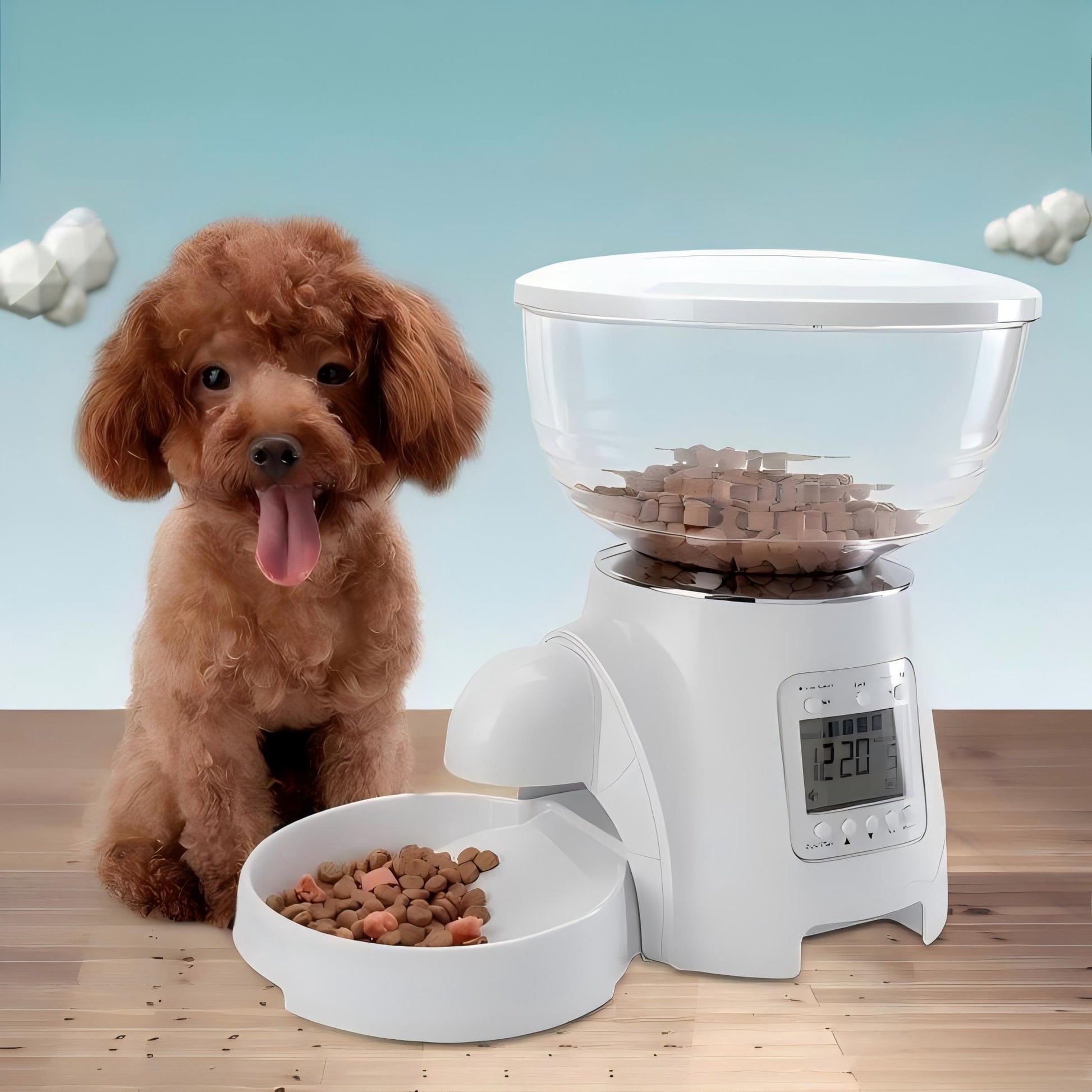 タイマー式自動給餌器