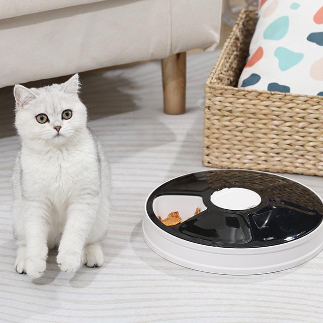 ペットウェットフード自動給餌器