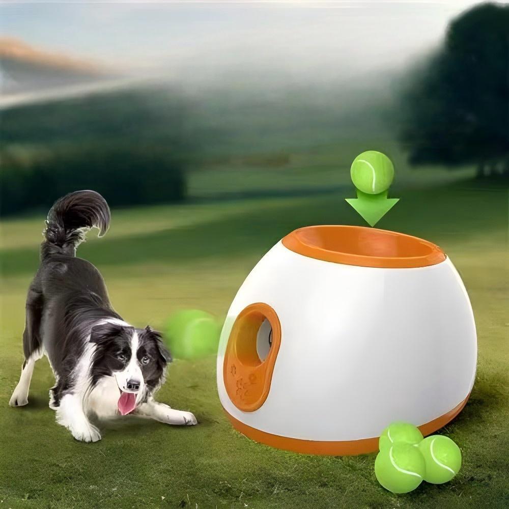 ペット用自動ボールランチャー