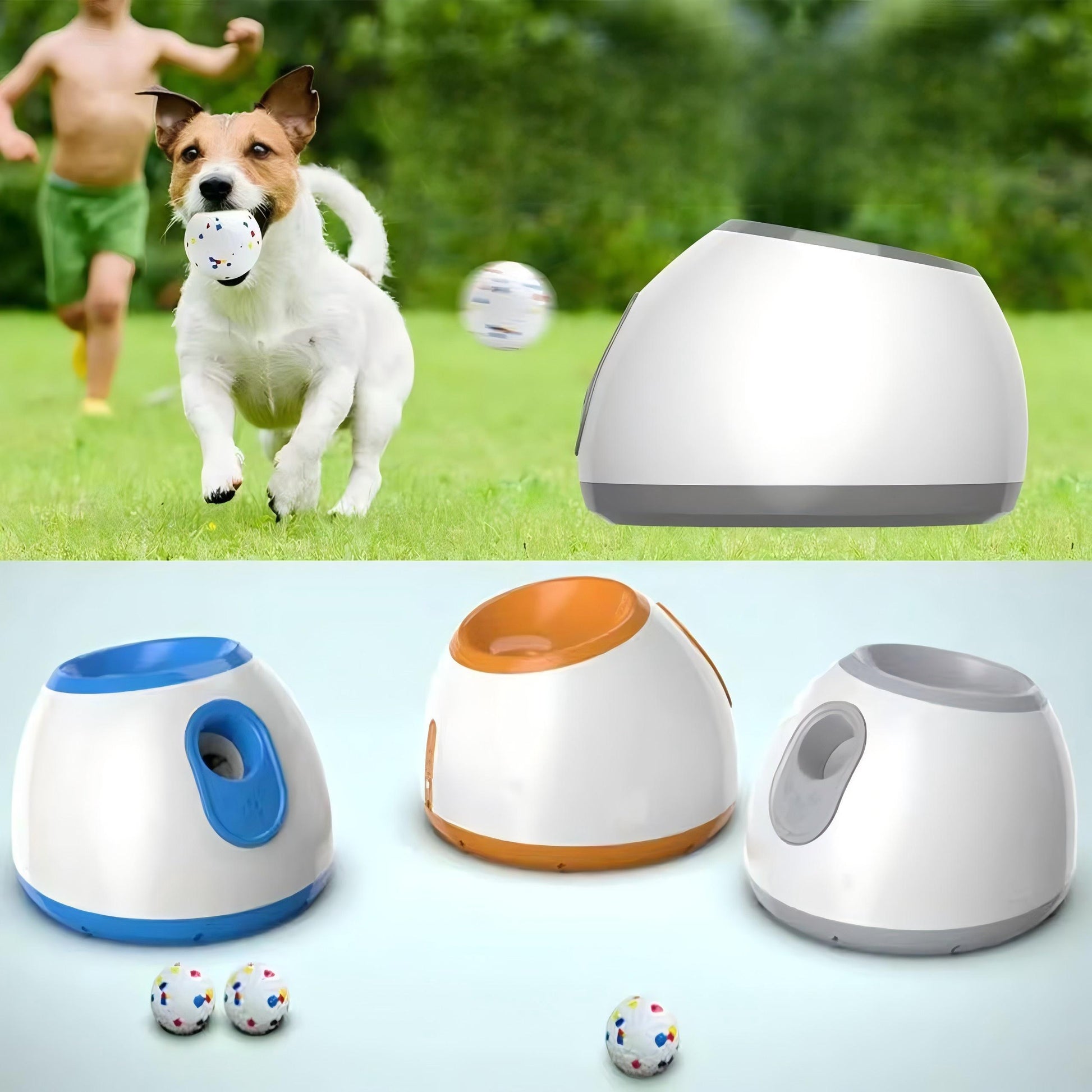 ペット用自動ボールランチャー