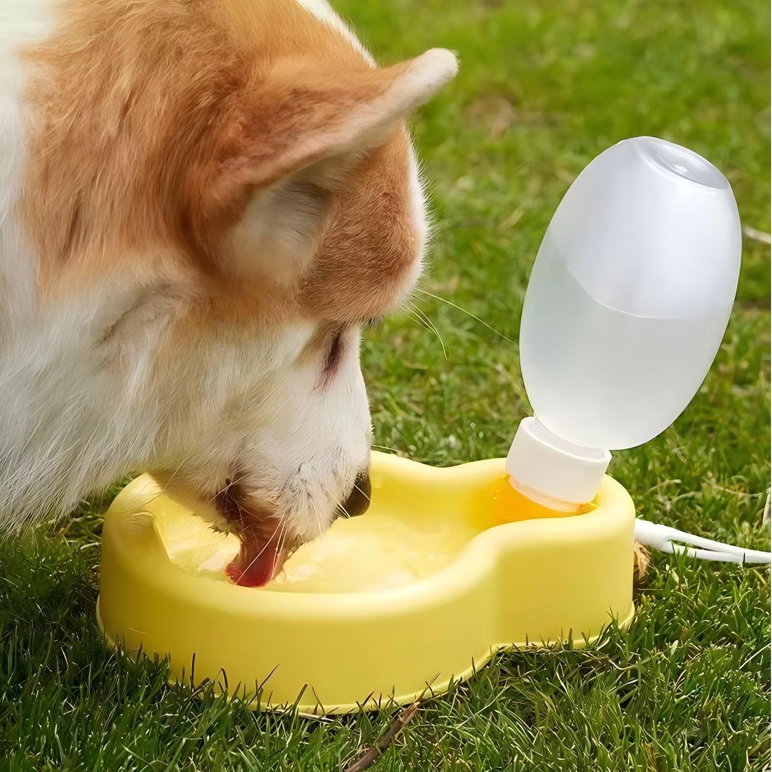 ペット用携帯給水機