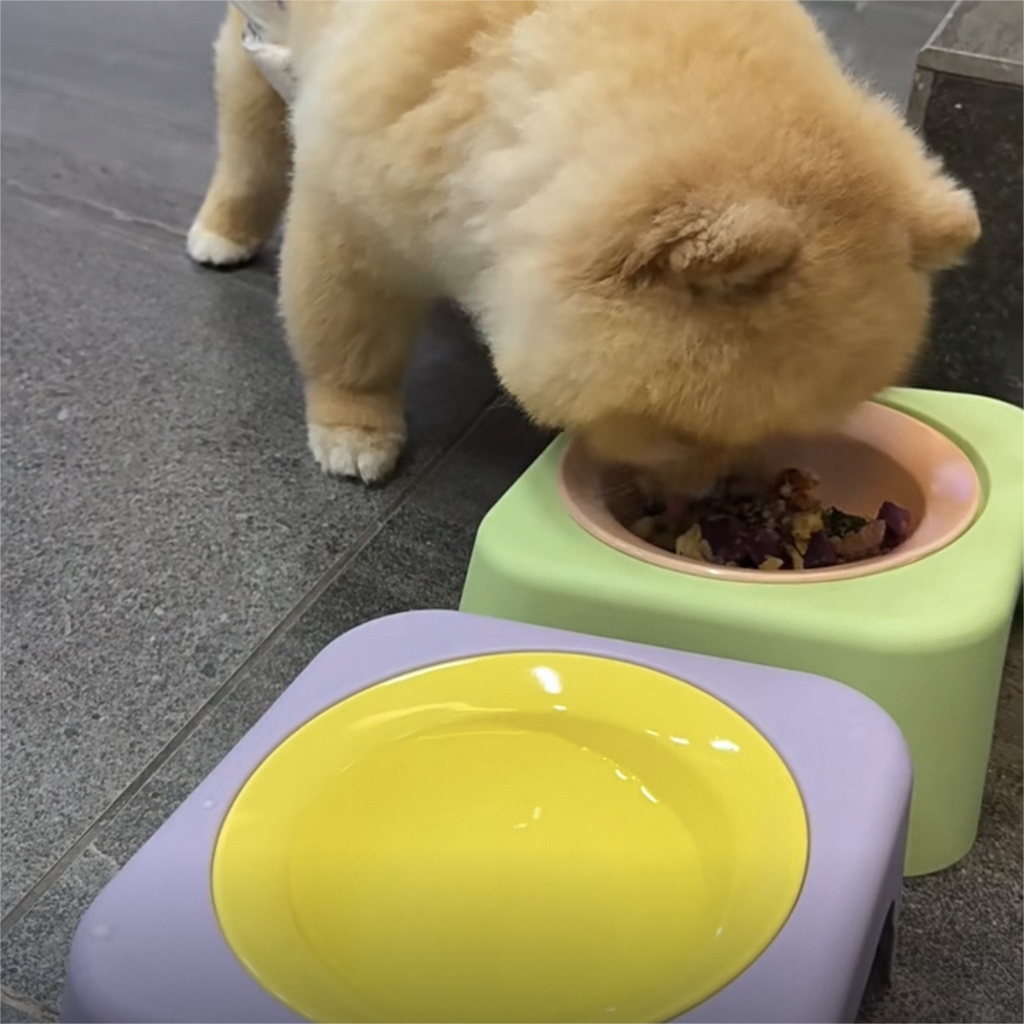 棚付き頸椎保護ペットフードボウル